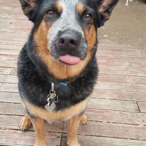 Meet your Posher, Janna